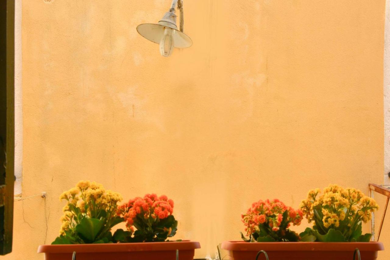 Espianade House Daire Korfu Dış mekan fotoğraf